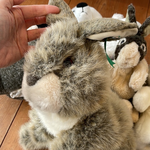 Hand puppets, Beluga, Bunnies,Raccoon , Folkmanis, Kellytoy, Millennium, Yangjee - Picture 8 of 10